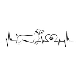 EKG-s tacskó autómatrica