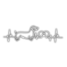 EKG-s tacskó autómatrica