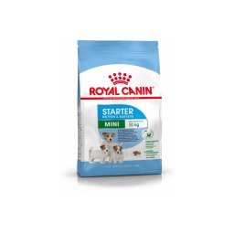 ROYAL CANIN MINI STARTER - száraz táp vemhes szuka és kistestű kölyök kutya részére 8 kg