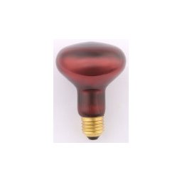 Infra melegitő izzó 100W E/27 R95 full red