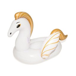 Pegasus rider 159 x 109 cm