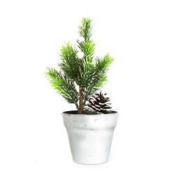 Mini műfenyő – 20 cm