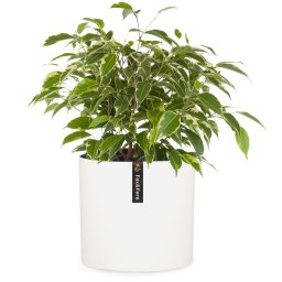 Fox & Fern Venlo, virágcserép, Polystone, beltér és kültér, 3 méret (PP-ROUND-POLY-M-MW)