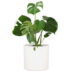 Fox & Fern Venlo, virágcserép, Polystone, beltér és kültér, 3 méret (PP-ROUND-POLY-L-MW)