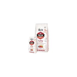 Brit Fresh Beef with Pumpkin Puppy Large 2,5 kg