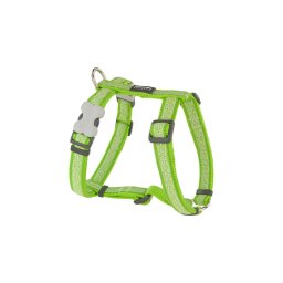 Red Dingo Daisy Chain Lime XLarge Dog hám