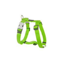 Red Dingo Lime Medium Dog hám