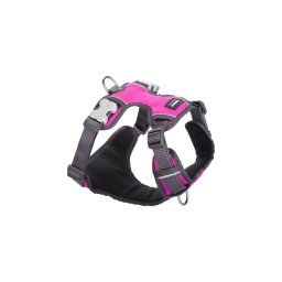 Red Dingo Padded dog hám Small Hot Pink