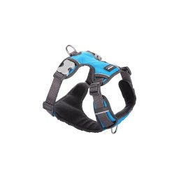 Red Dingo Padded dog hám Small Turquoise