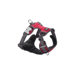 Red Dingo Padded dog hám Small Red