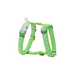Red Dingo Stars Lime Small Dog hám