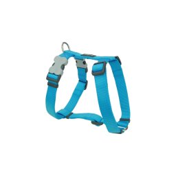 Red Dingo Turquoise Large Dog hám