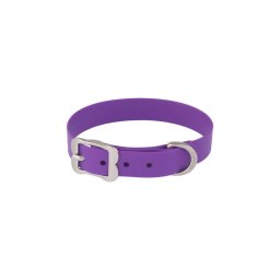 Red Dingo Vivid Purple Large kutya nyakörv / 40-50 cm