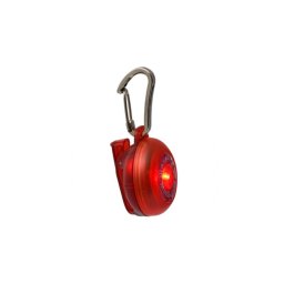RogLite red biléta