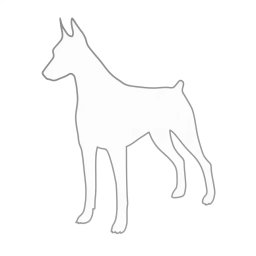Dobermann autómatrica
