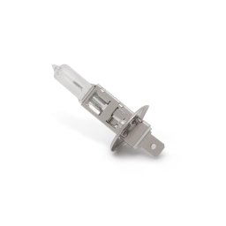 Carguard 50950 Halogén izzó
