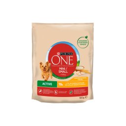 Purina ONE Mini ACTIVE Csirkében gazdag száraz kutyaeledel 800g