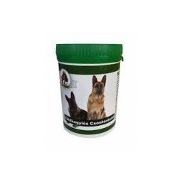 Pet Product Zöldkagylós Csonterősítő 160db