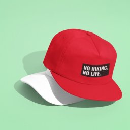 No Hiking No LIfe Snapback