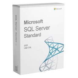 Microsoft SQL Server 2022 Standard 1 User CAL