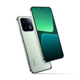 Xiaomi 13 8/256GB Flora Green