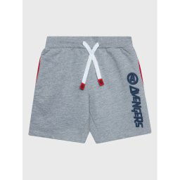 Zippy Sport rövidnadrág The Avengers ZKBAP0402 23007 Szürke Regular Fit