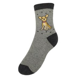 Chihuahua - nõi bokazokni
