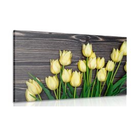 Kép sárga tulipánok fa háttéren