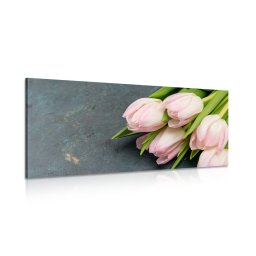 Kép pasztell rózsaszín tulipánok