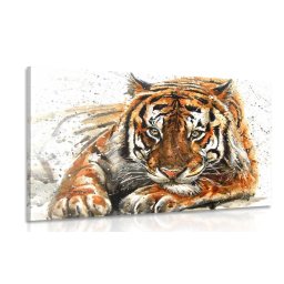 Kép tigris