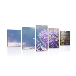 5 részes kép levandula kert