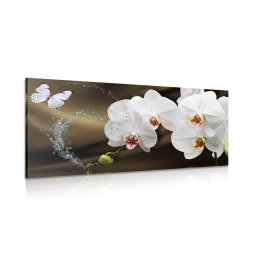 Kép lepke és orchidea