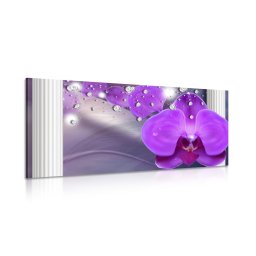 Kép orchidea görög oszlopon