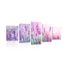 5 részes kép varázslatos levandula virágok