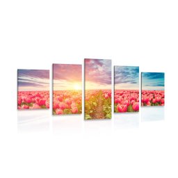 5 részes kép napkelte tulipánok felett