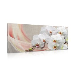 Kép fehér orchidea vásznon