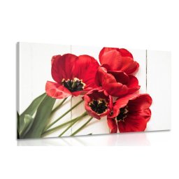 Kép virító piros tulipánok