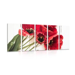 5-részes kép tulipán virágok
