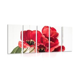 5-részes kép piros tulipán virág