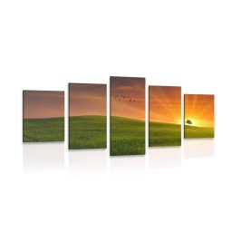 5 részes fa a réten