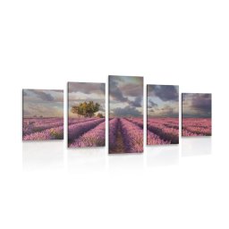 5 részes kép levandula mező országja