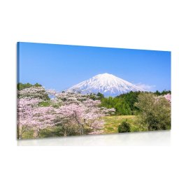 Kép Fuji vulkán