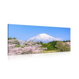 Kép Fuji hegy