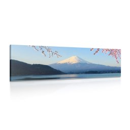 Kép kilátás a Fuji hegyre