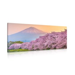 Kép látvínyos Japán ország
