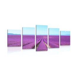 5 részes kép végtelen levandula mező