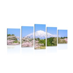 5 részes kép Fuji vulkán