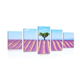 5 részes kép provence-i levandula mező