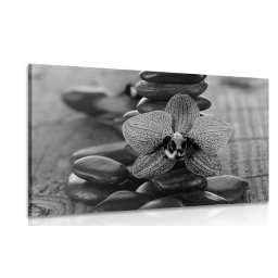 Kép orchidea és zen kövekl fekete fehérben