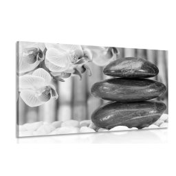 Kép japán Zen kert fekete fehérben